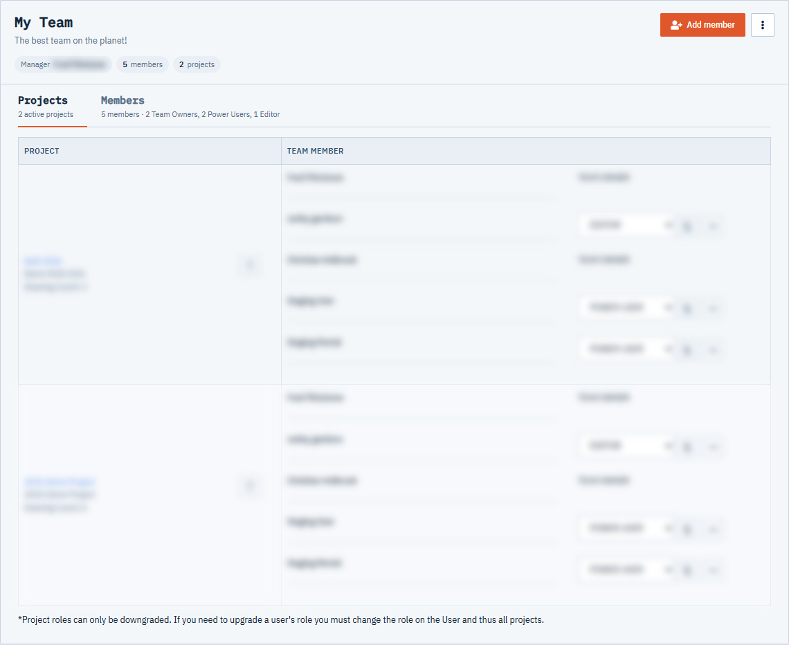 A team card on the Projects tab, with Add member, the actions menu and per-project role lists